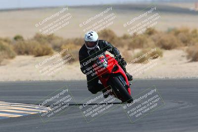 media/Mar-28-2022-Superbike Trackdays (Mon) [[b8603d0f67]]/Open Track Time/Turn 16/